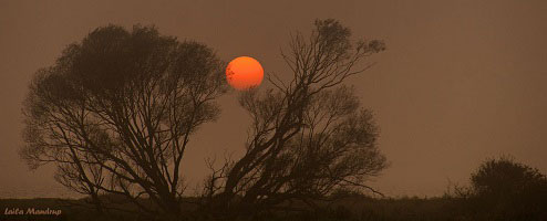 Hvordan påvirker stress din krop på sigt?